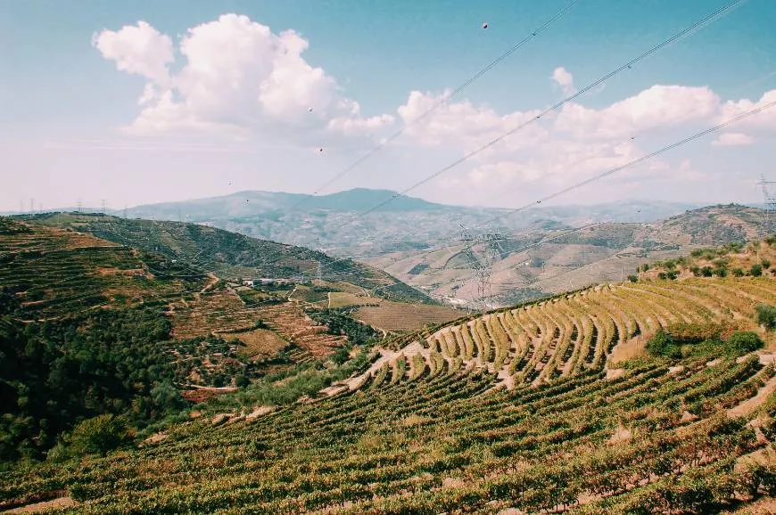 Vale do Douro