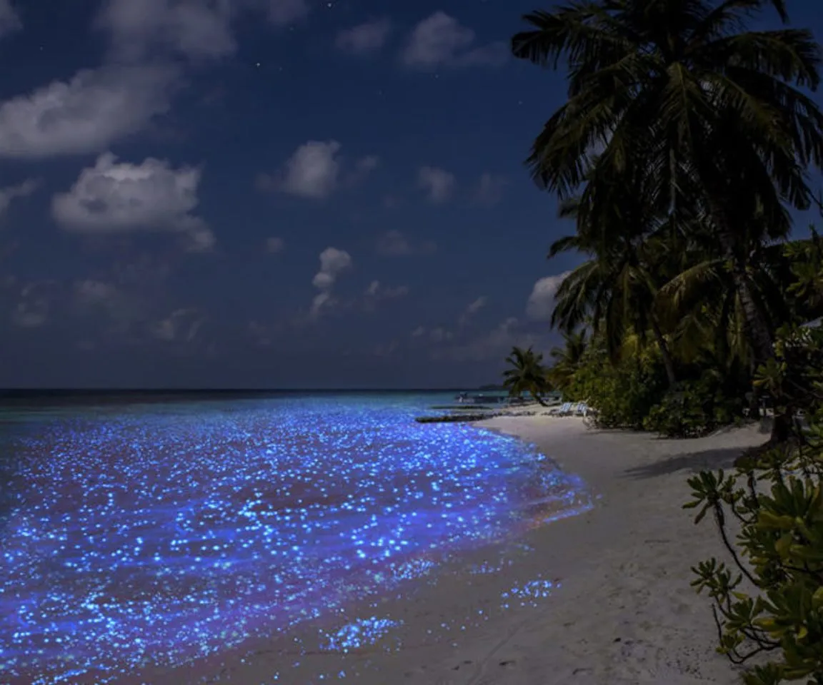 Vaadhoo