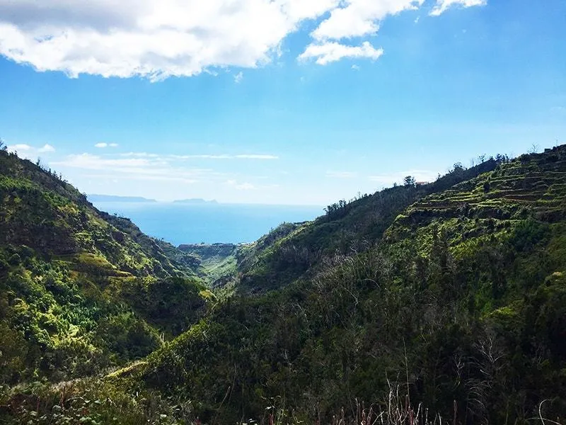 Camacha - Levada do Caniço