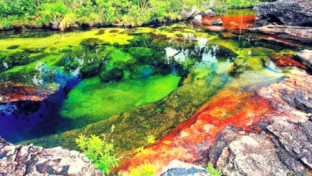 Via Río Caño Cristales