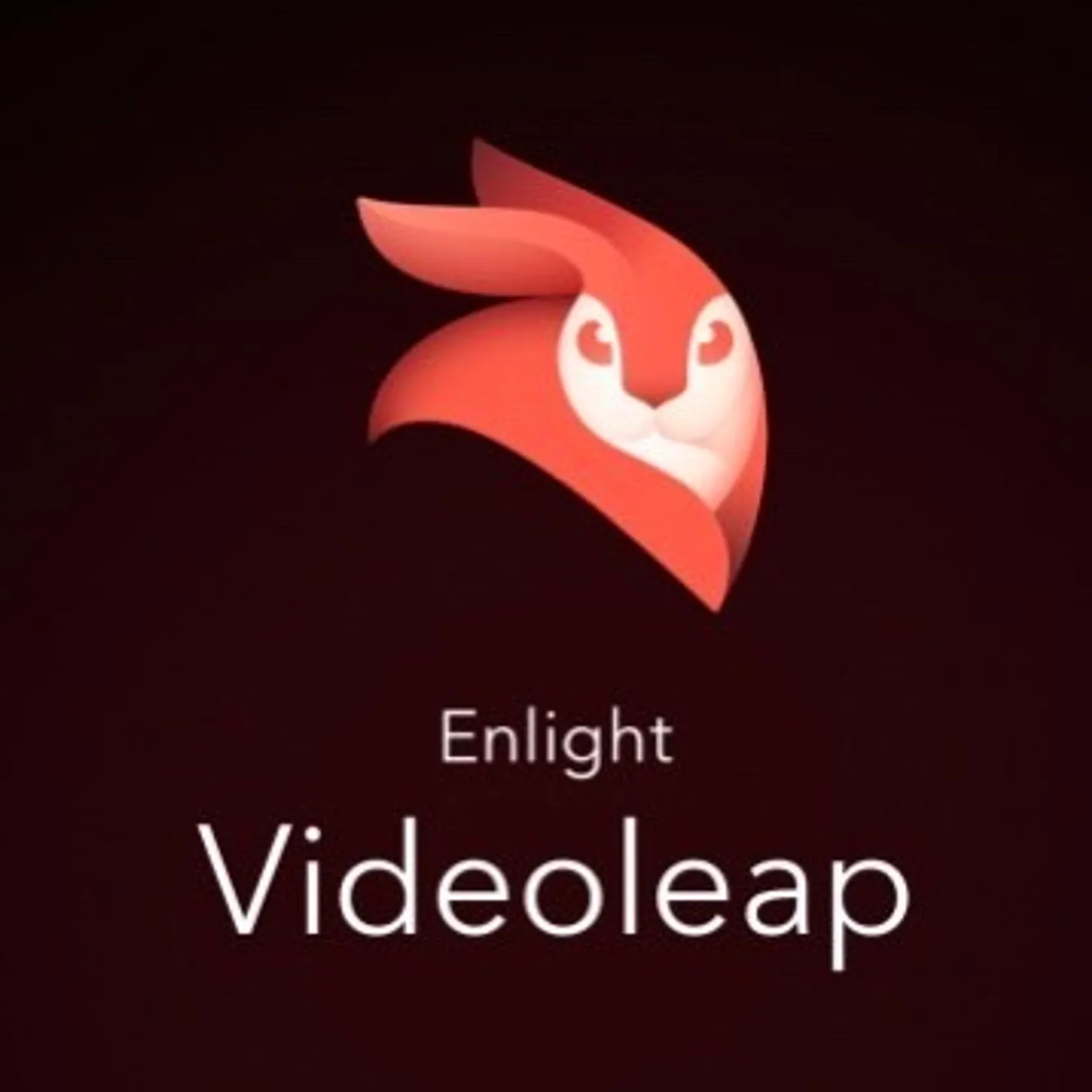 Videoleap - Video Editor