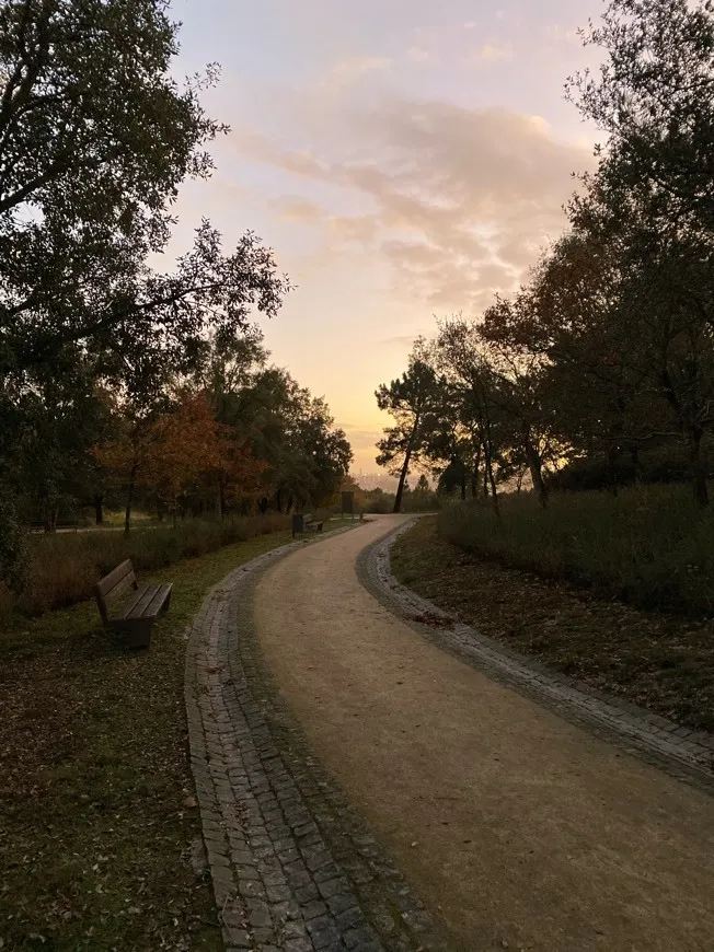 Parque de Avioso