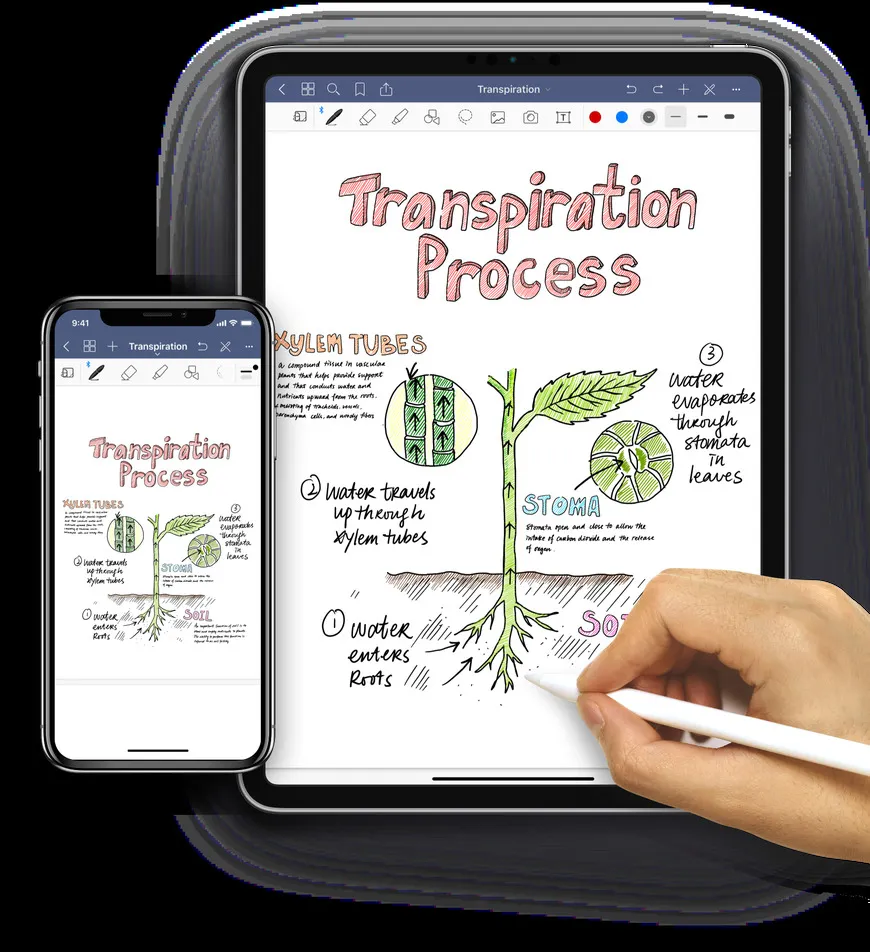 GoodNotes 5
