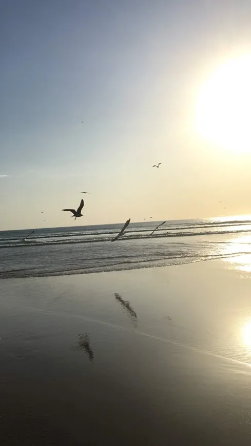 Praia da Rainha