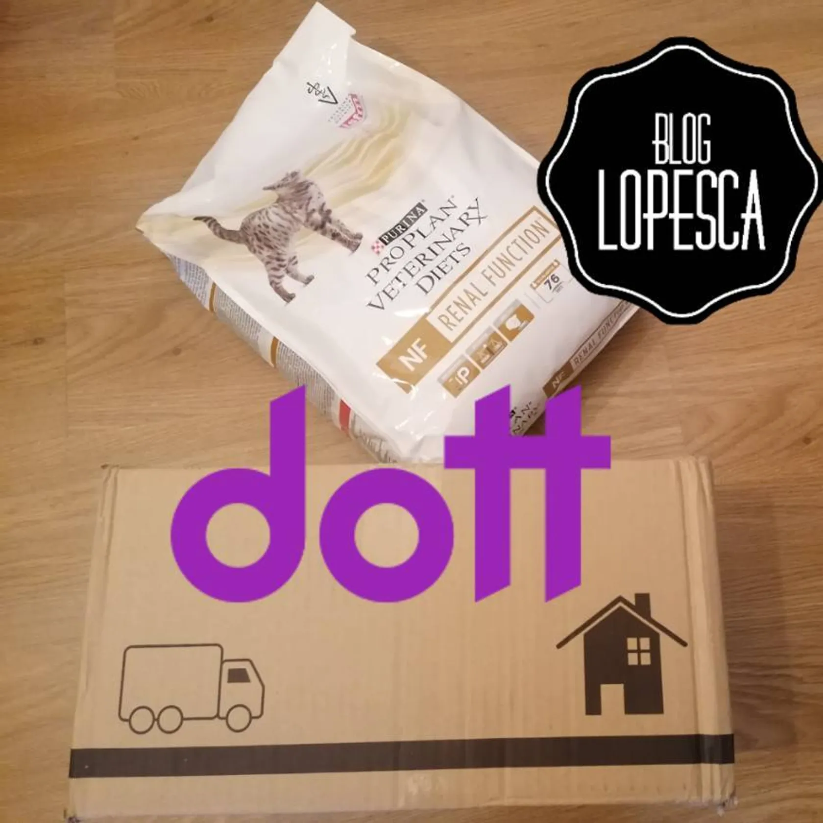 SITE Dott.pt