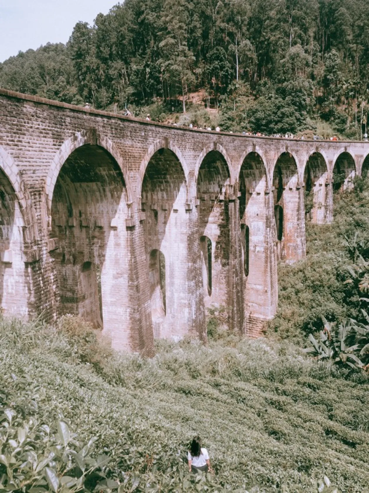 Ella Bridge