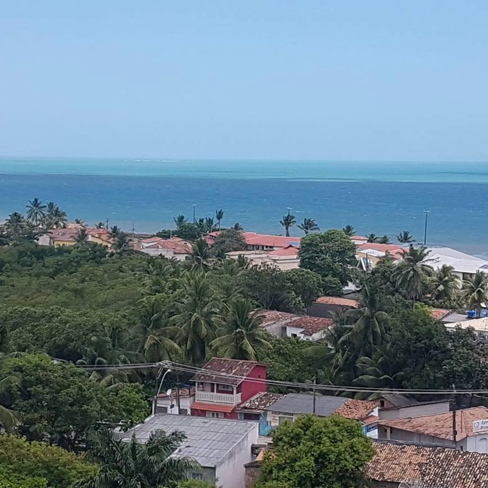 Cabralia