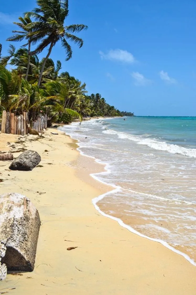 Corn Island