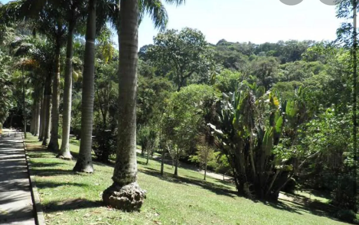Parque da Cidade