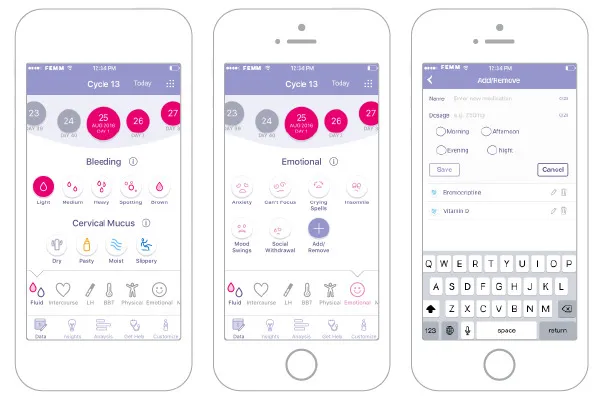 FEMM app