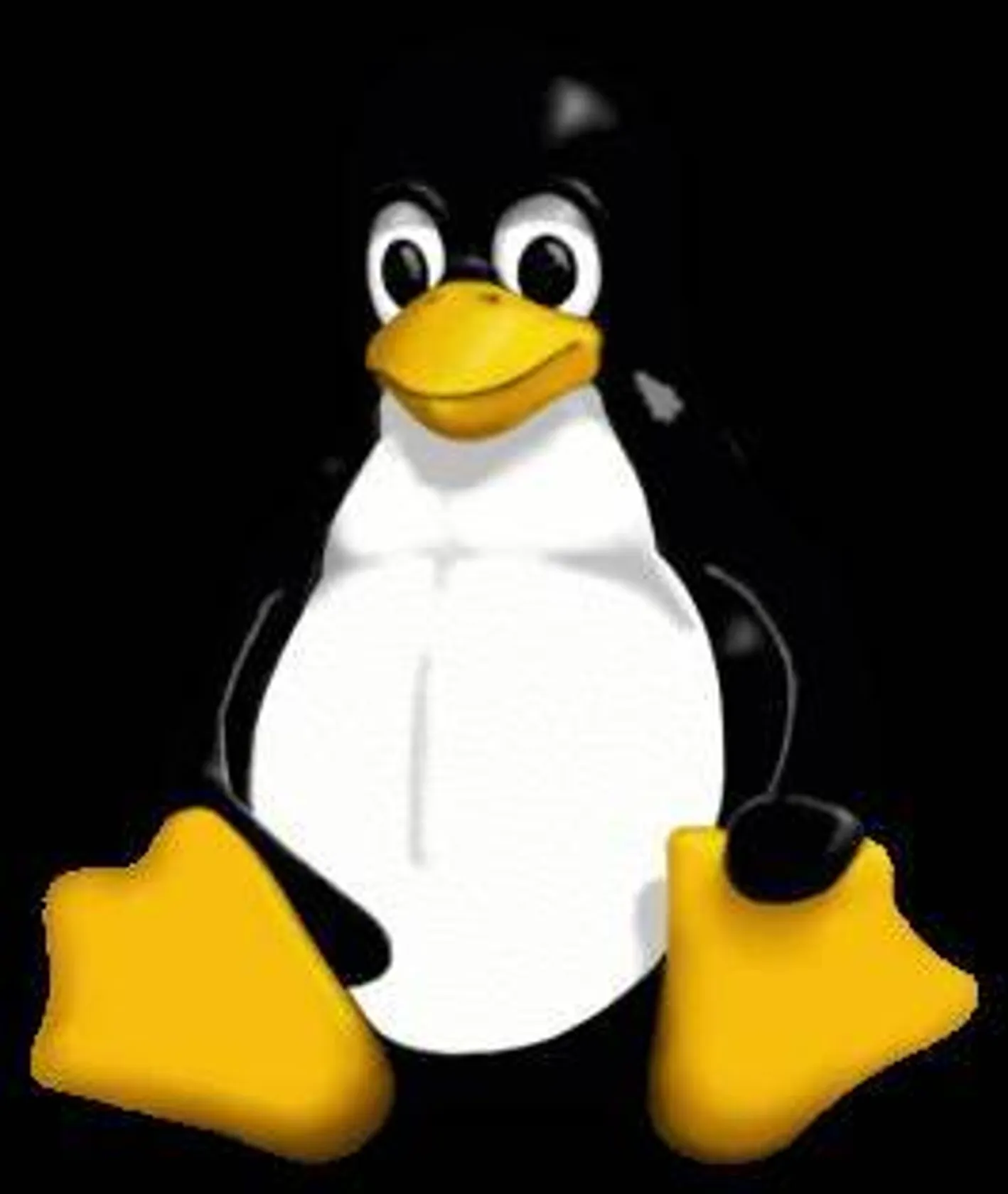 Linux 🐧