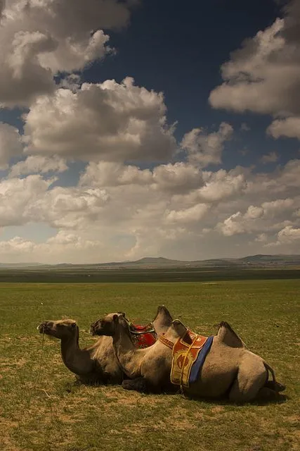 Mongolia