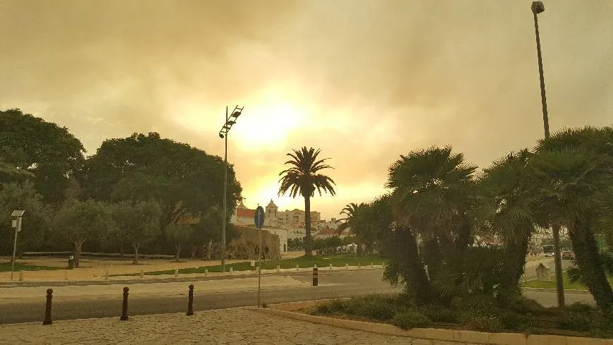 Jardim da Constituição