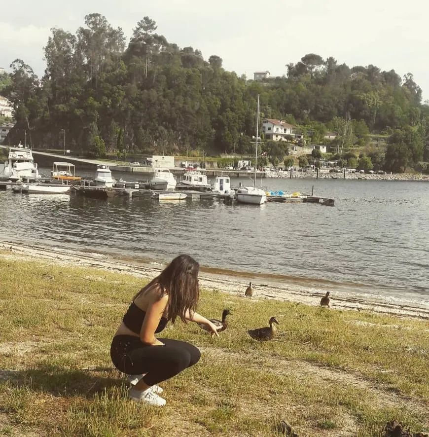Bitetos Douro