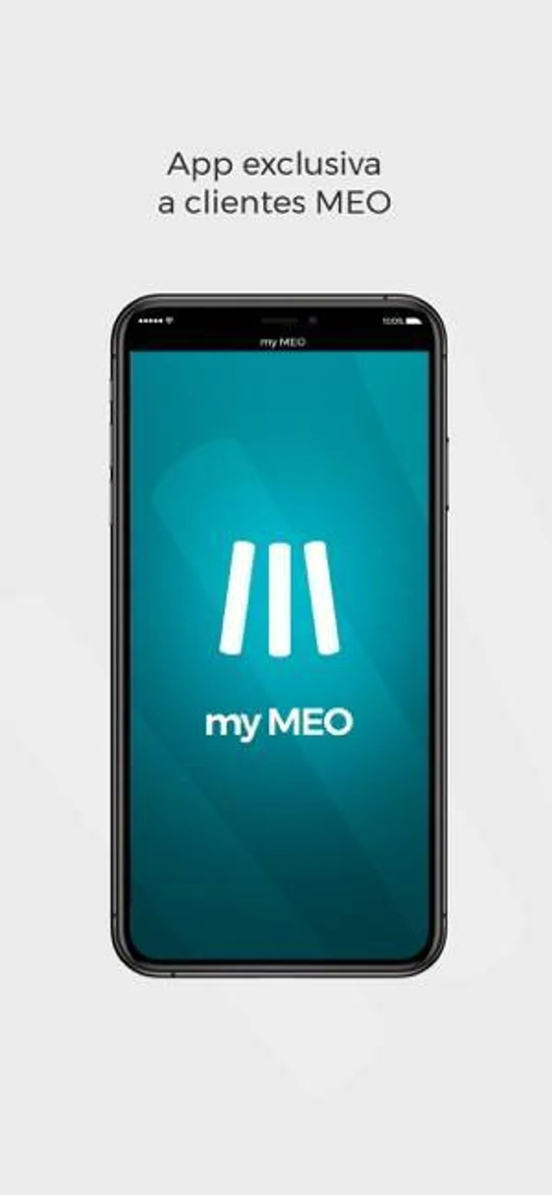 My MEO