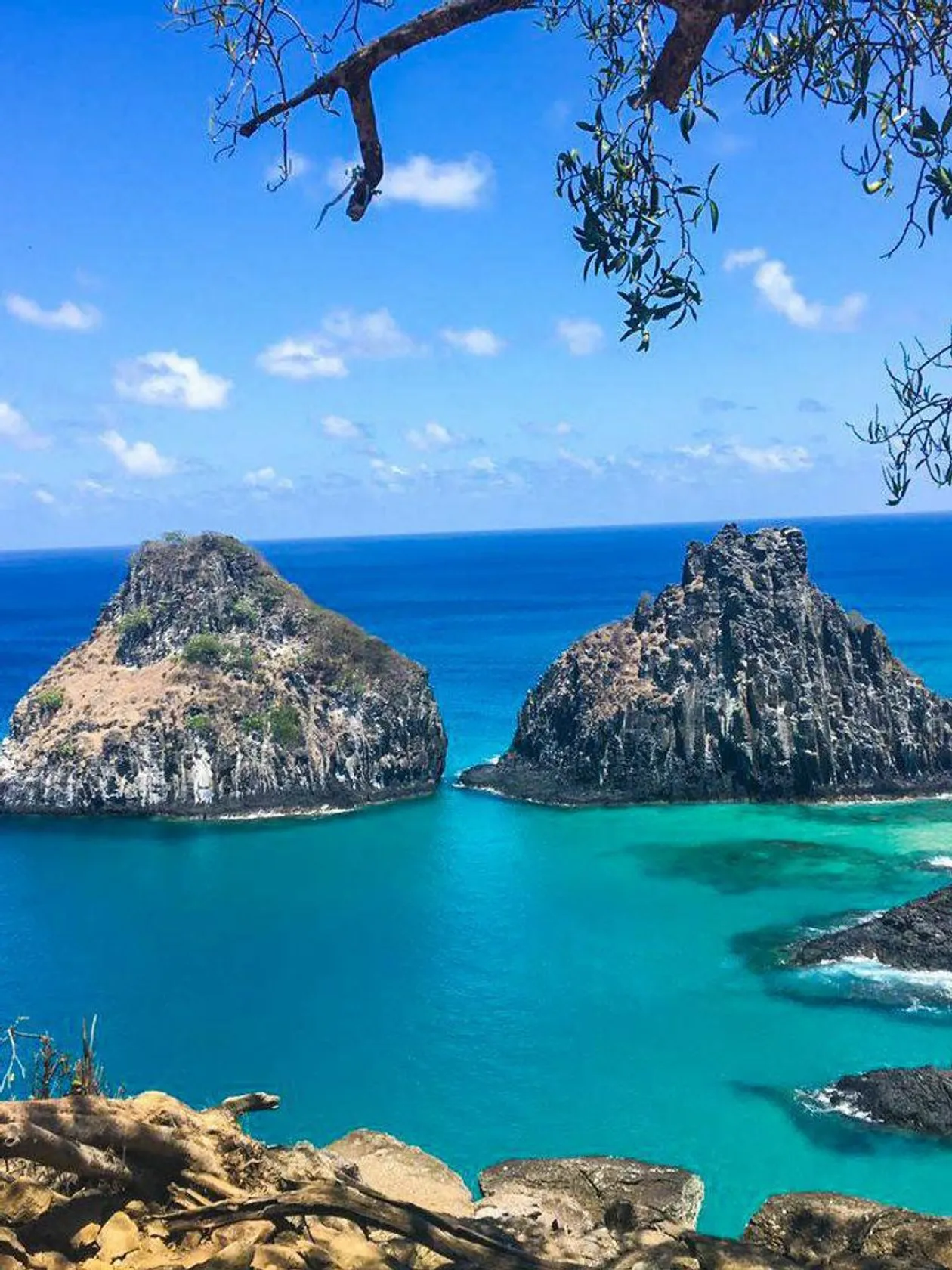 Viagem para Fernando de Noronha