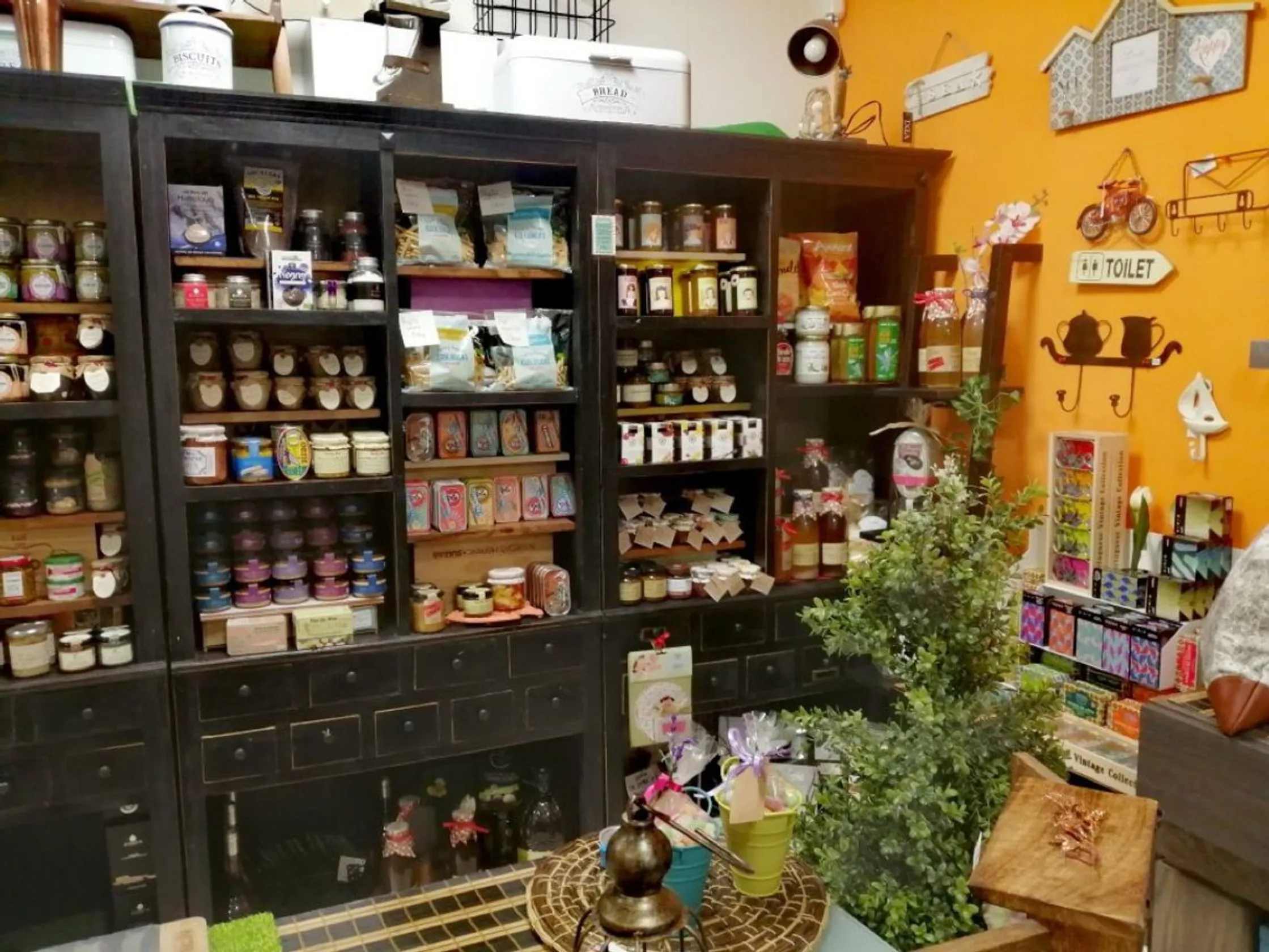 La Tragoneria