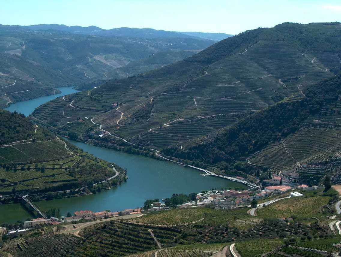 Alijó