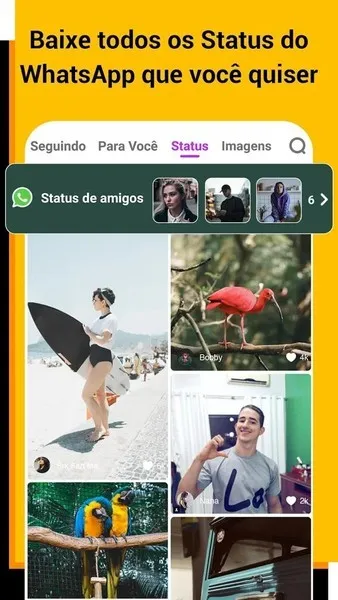 VStatus