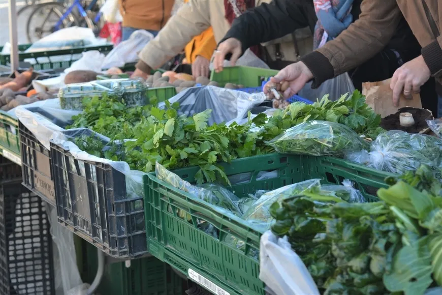Mercados Agrobio