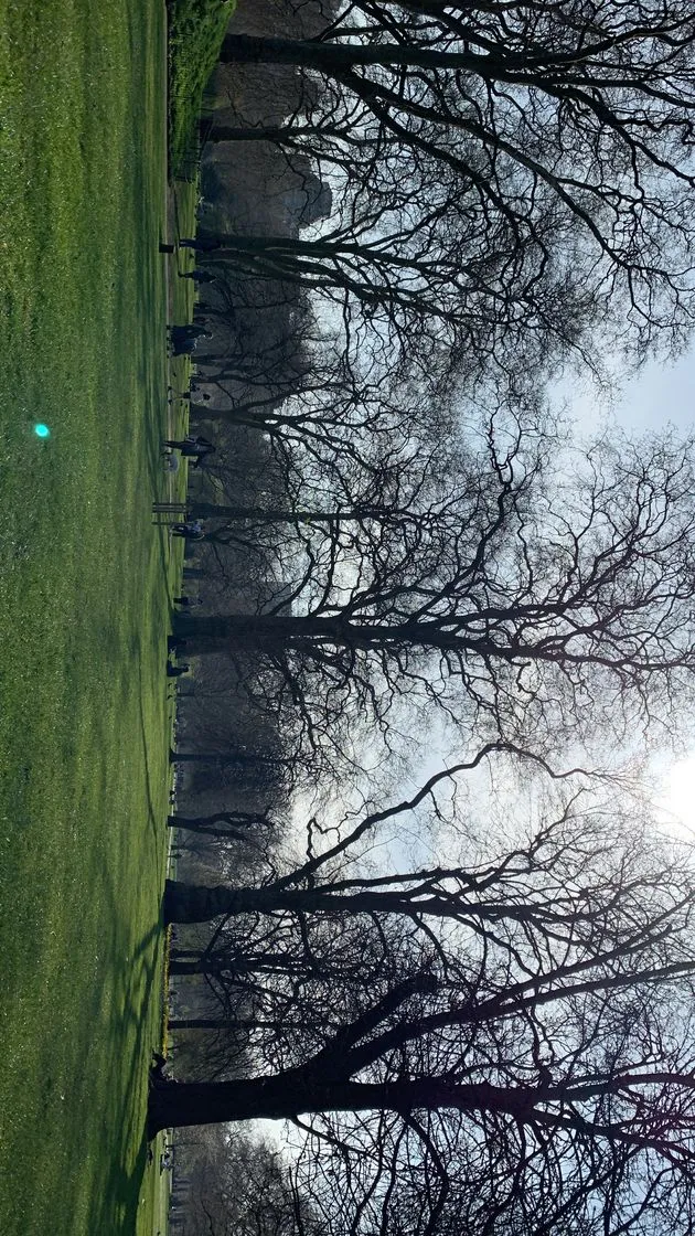 St. James's Park