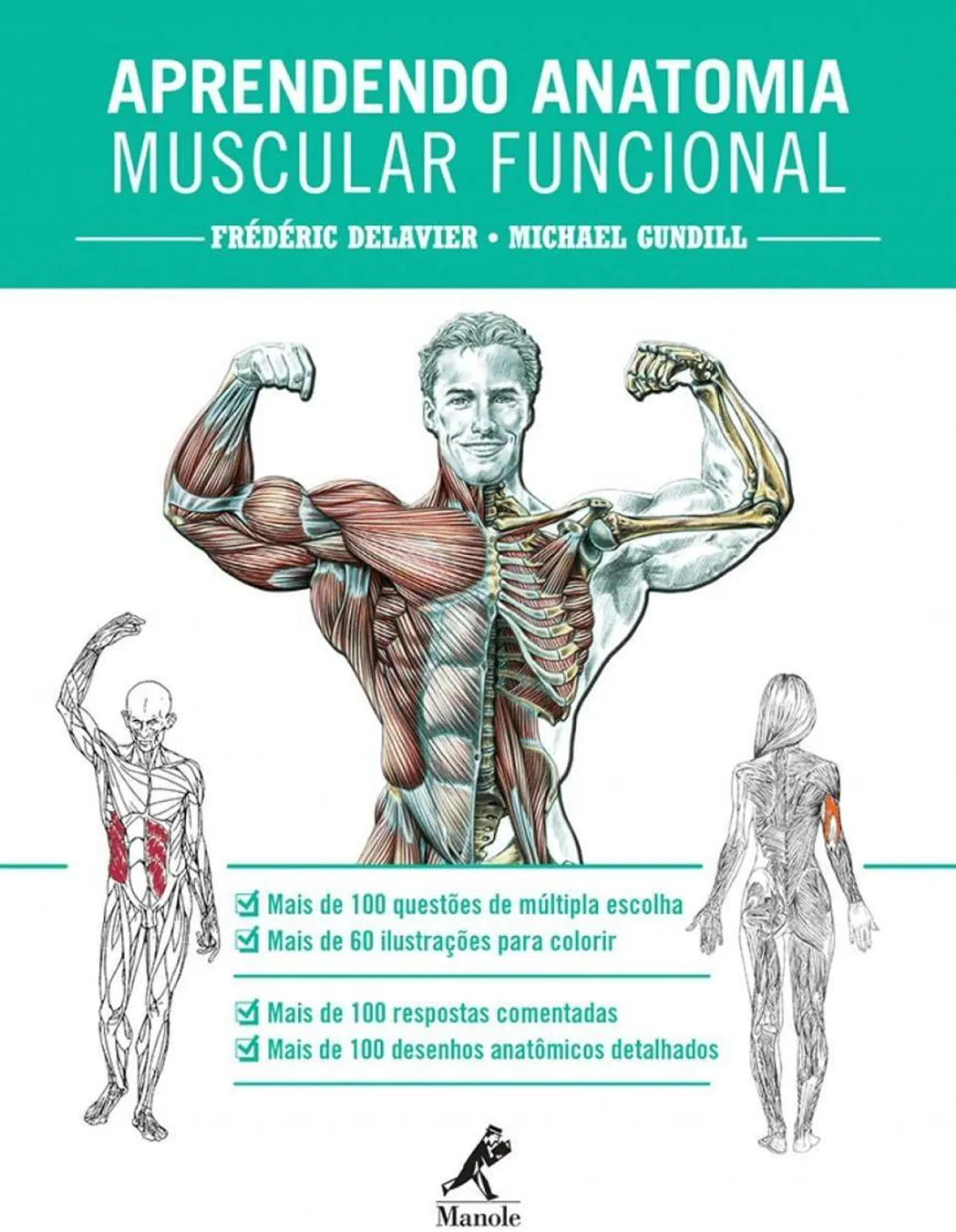 Muscular