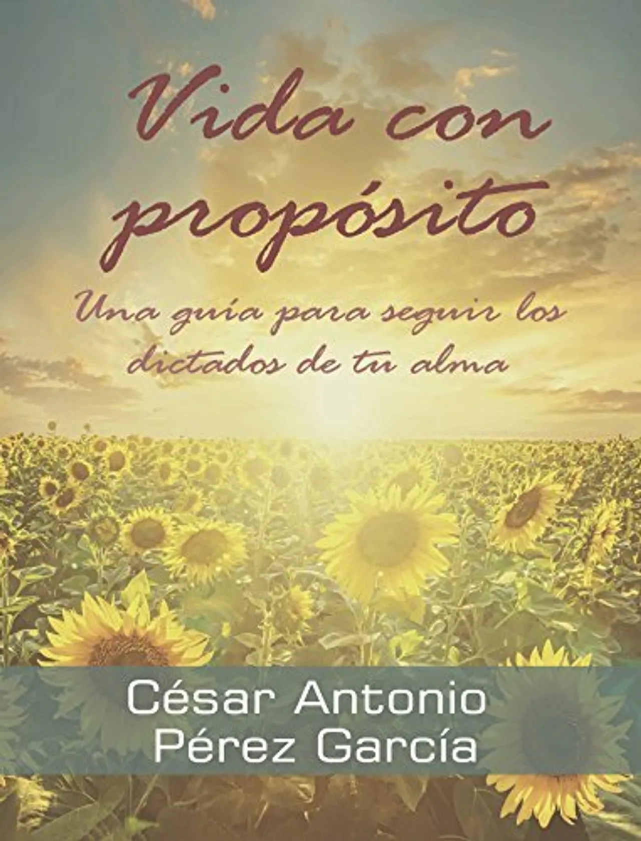 Una vida con propósito