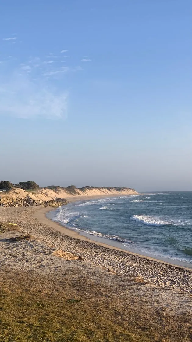 Ofir Beach