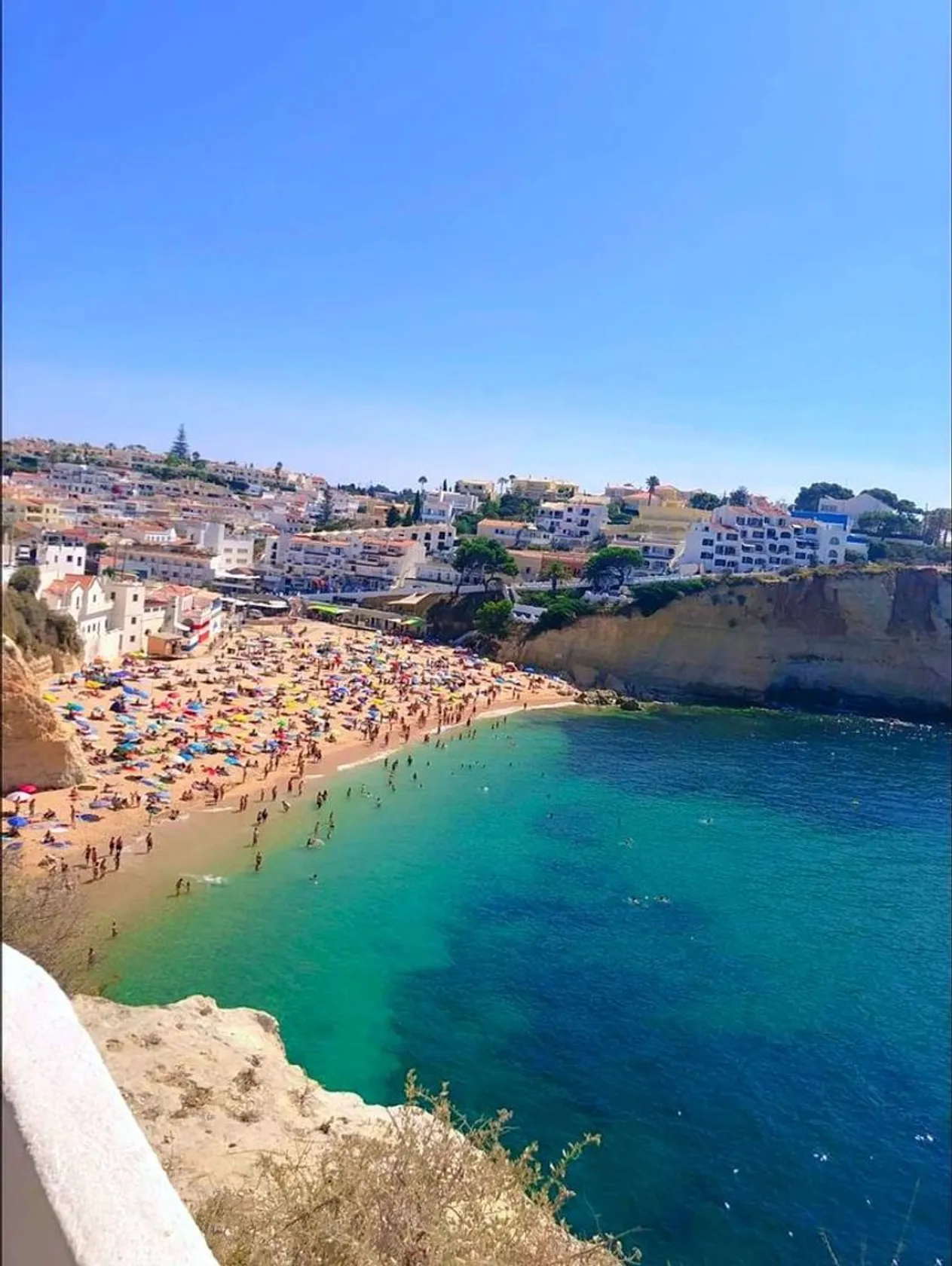 Carvoeiro