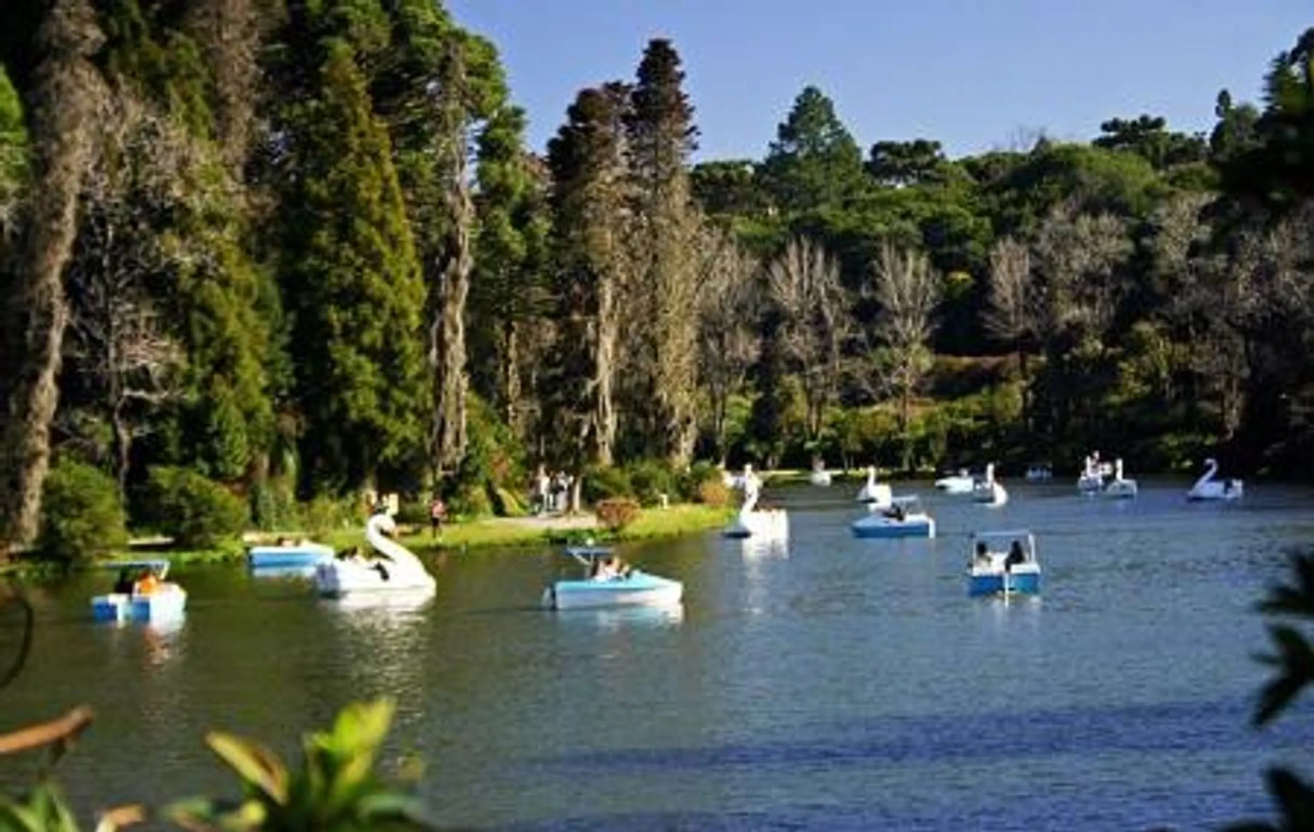 Lago Negro