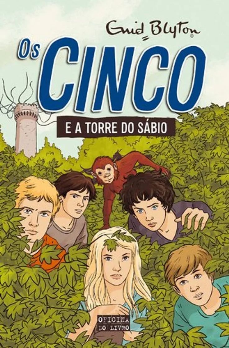 Os Cinco E A Torre Do Sábio