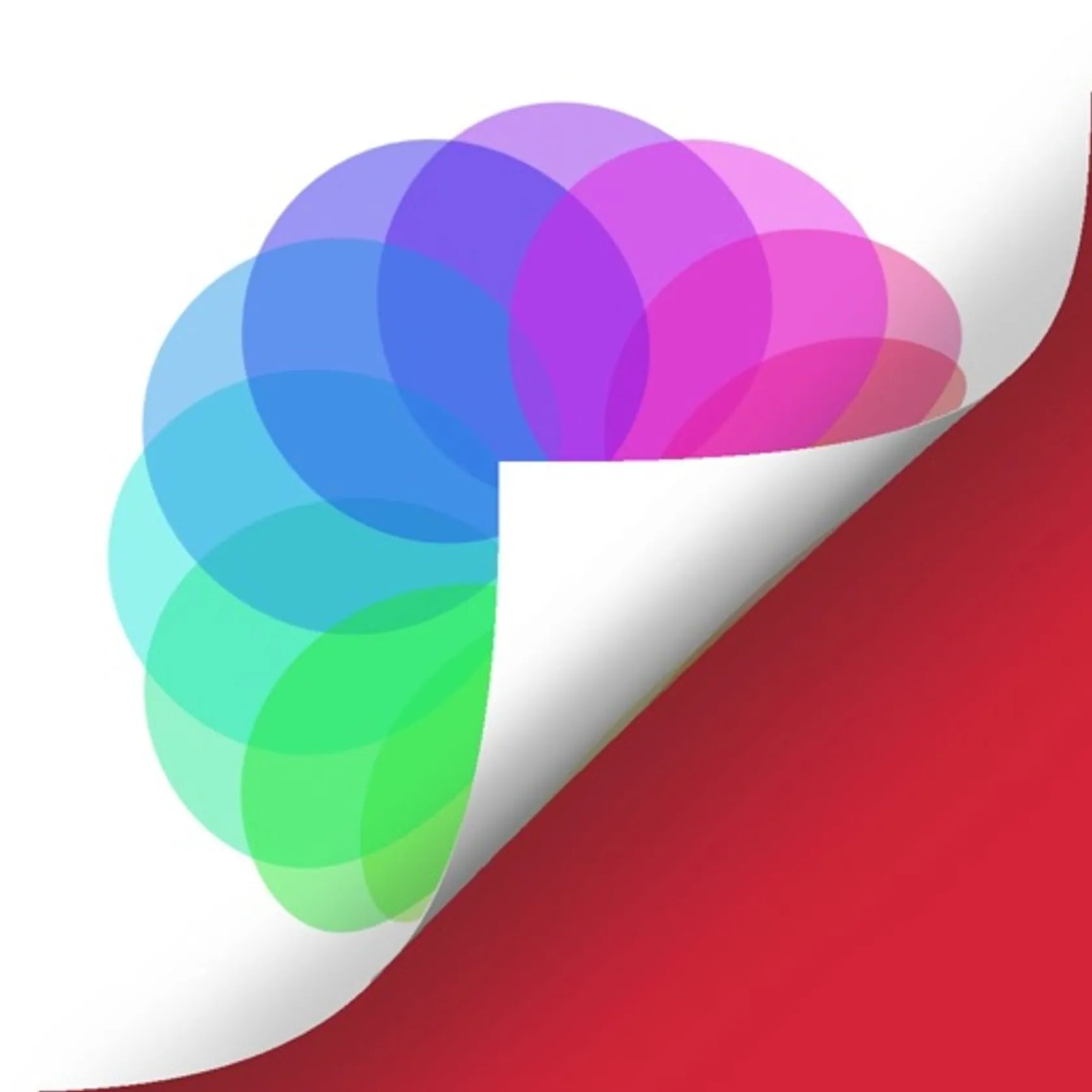 Photo Flipper - selfie mirror