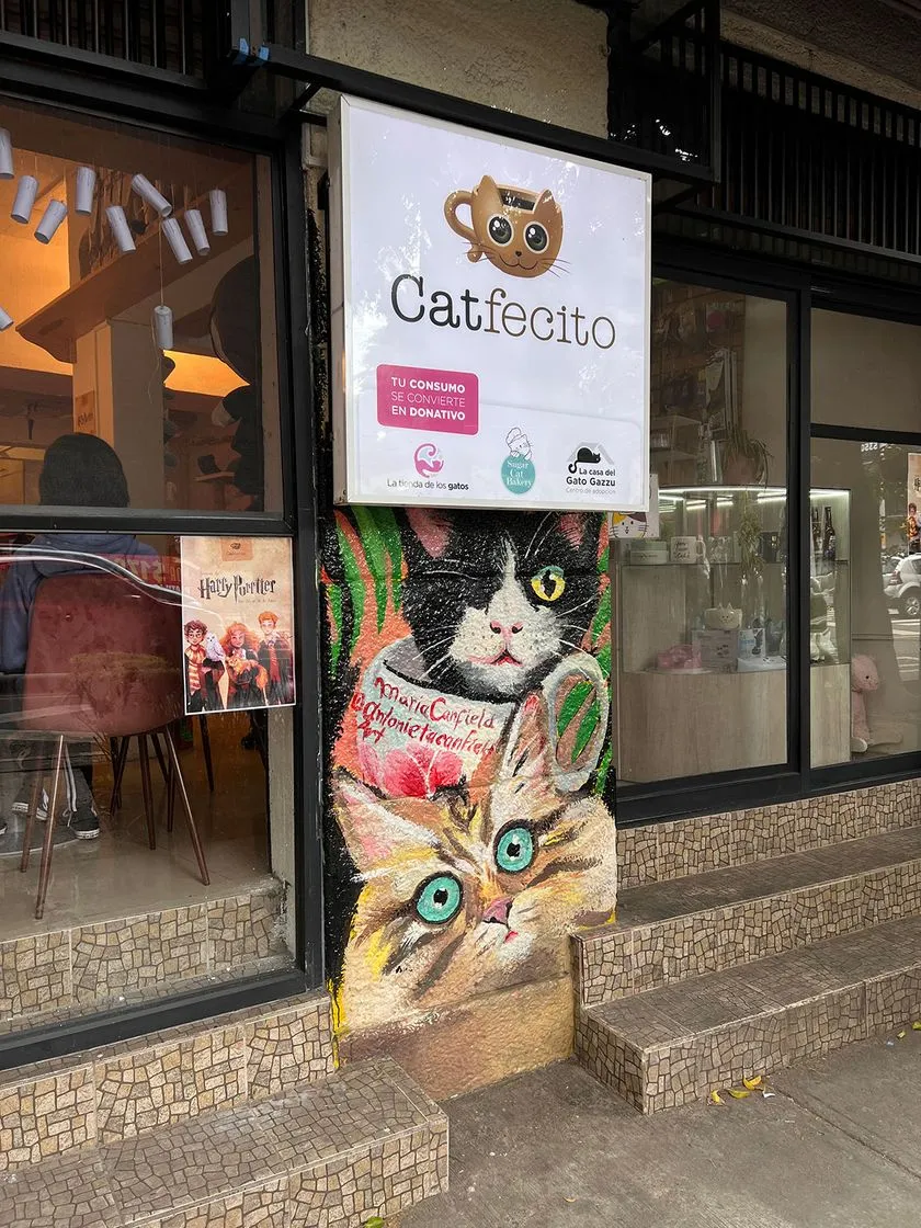 Catfecito