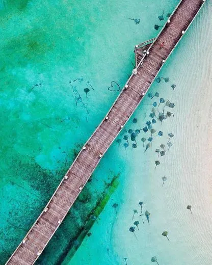 Great Barrier Reef