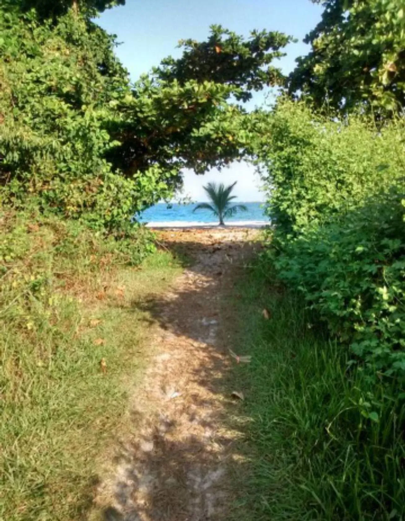 Mambucaba