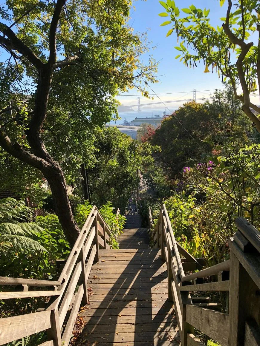 Filbert Steps