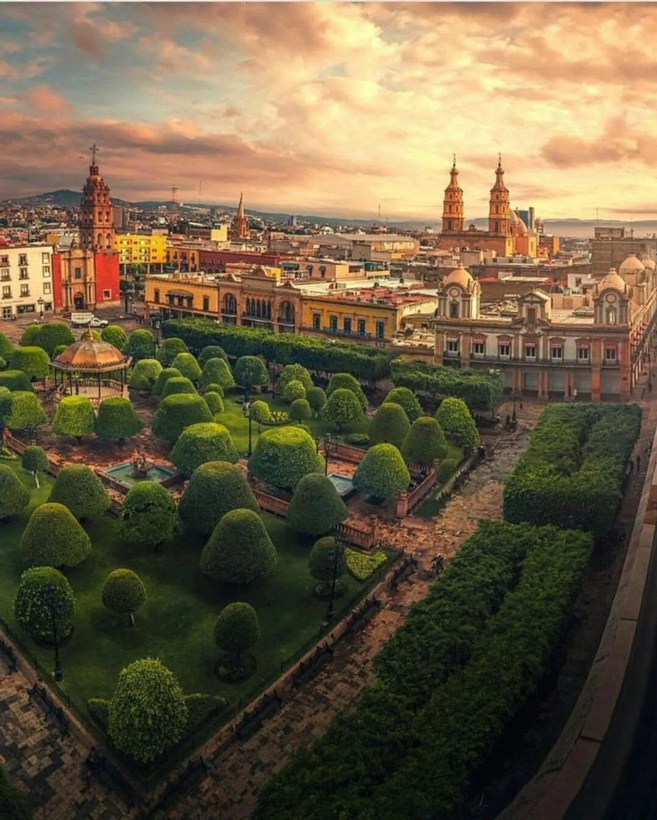 León
