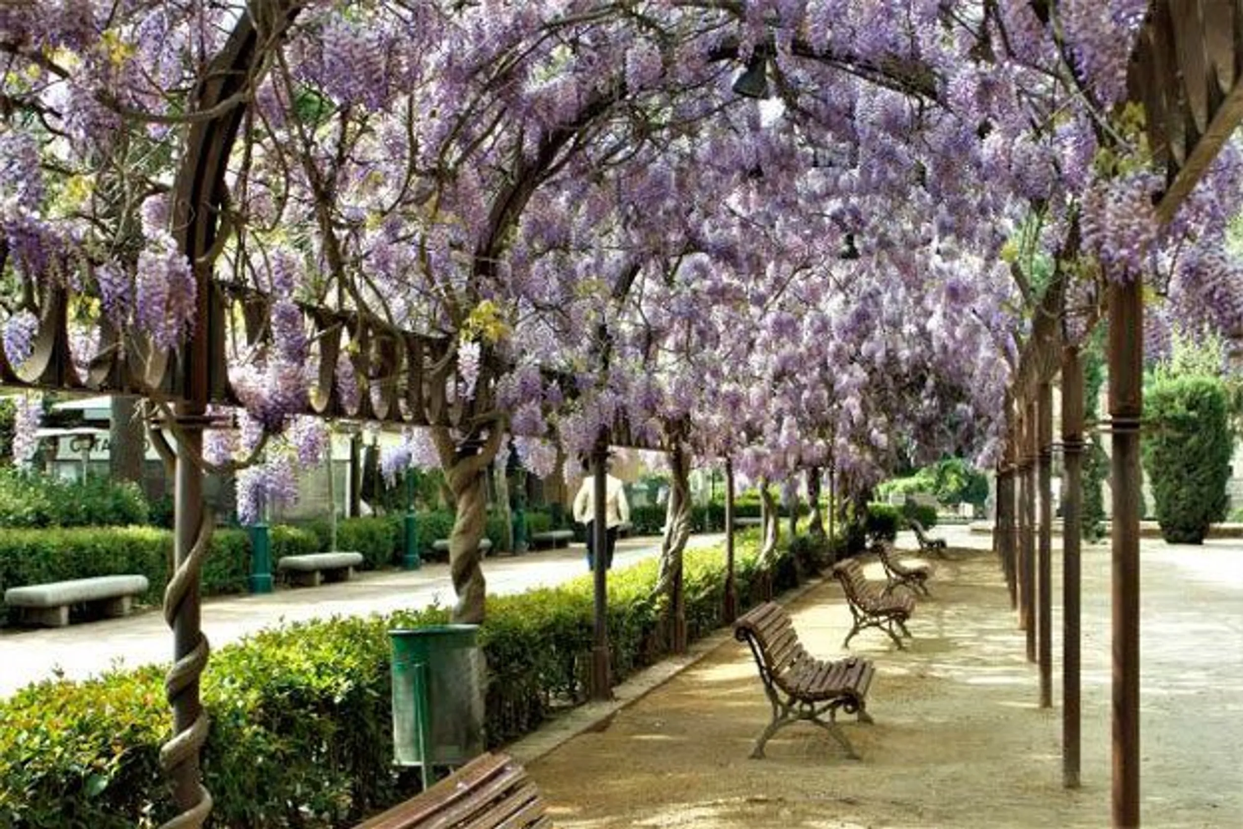 Parque de "La Vega"