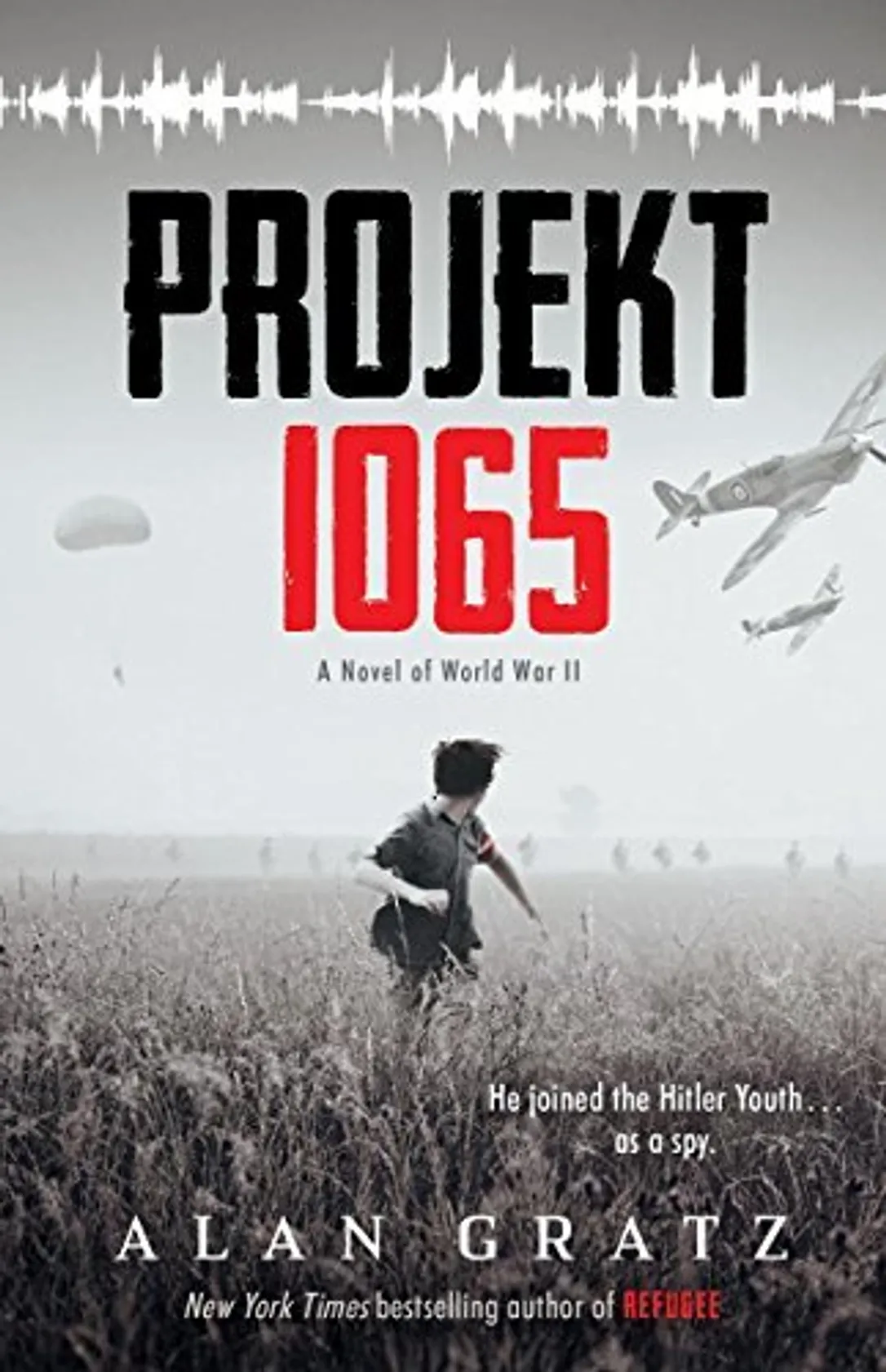 Allies (novel)