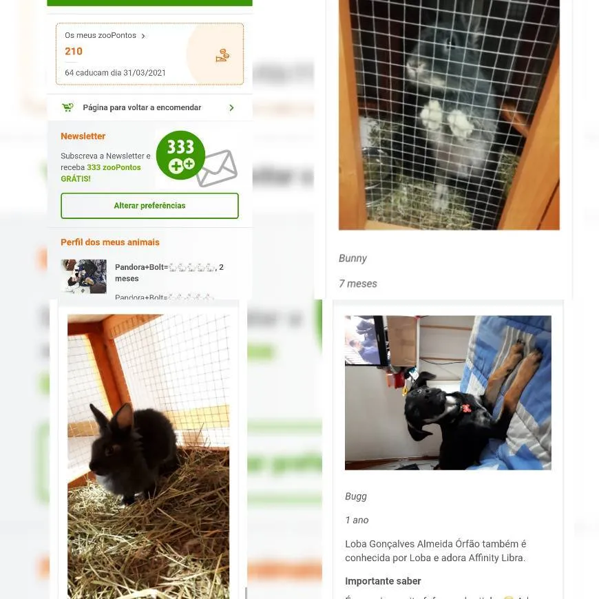 Zooplus
