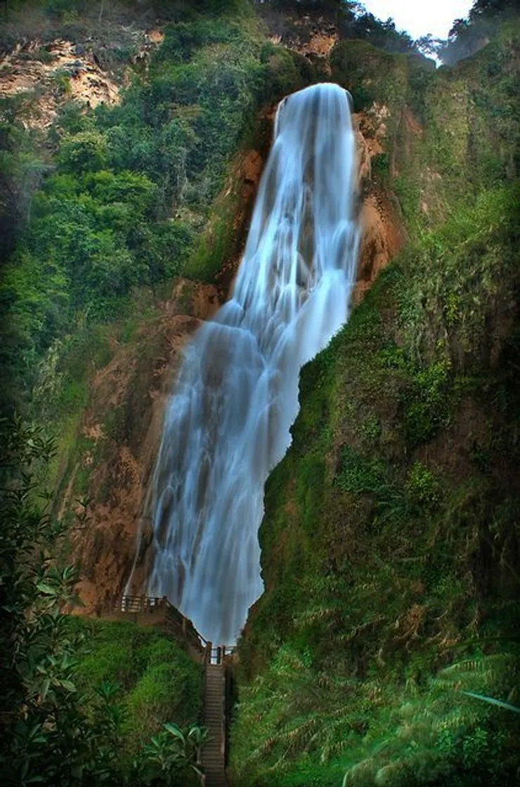 VELO DE NOVIA EL CHIFLON