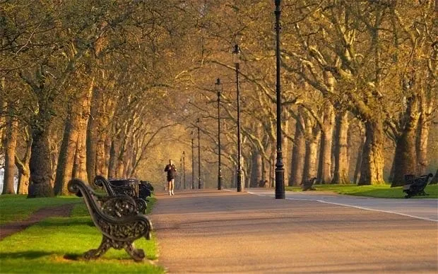 Hyde Park 🍂