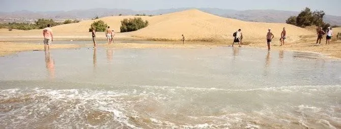 La Charca de Maspalomas