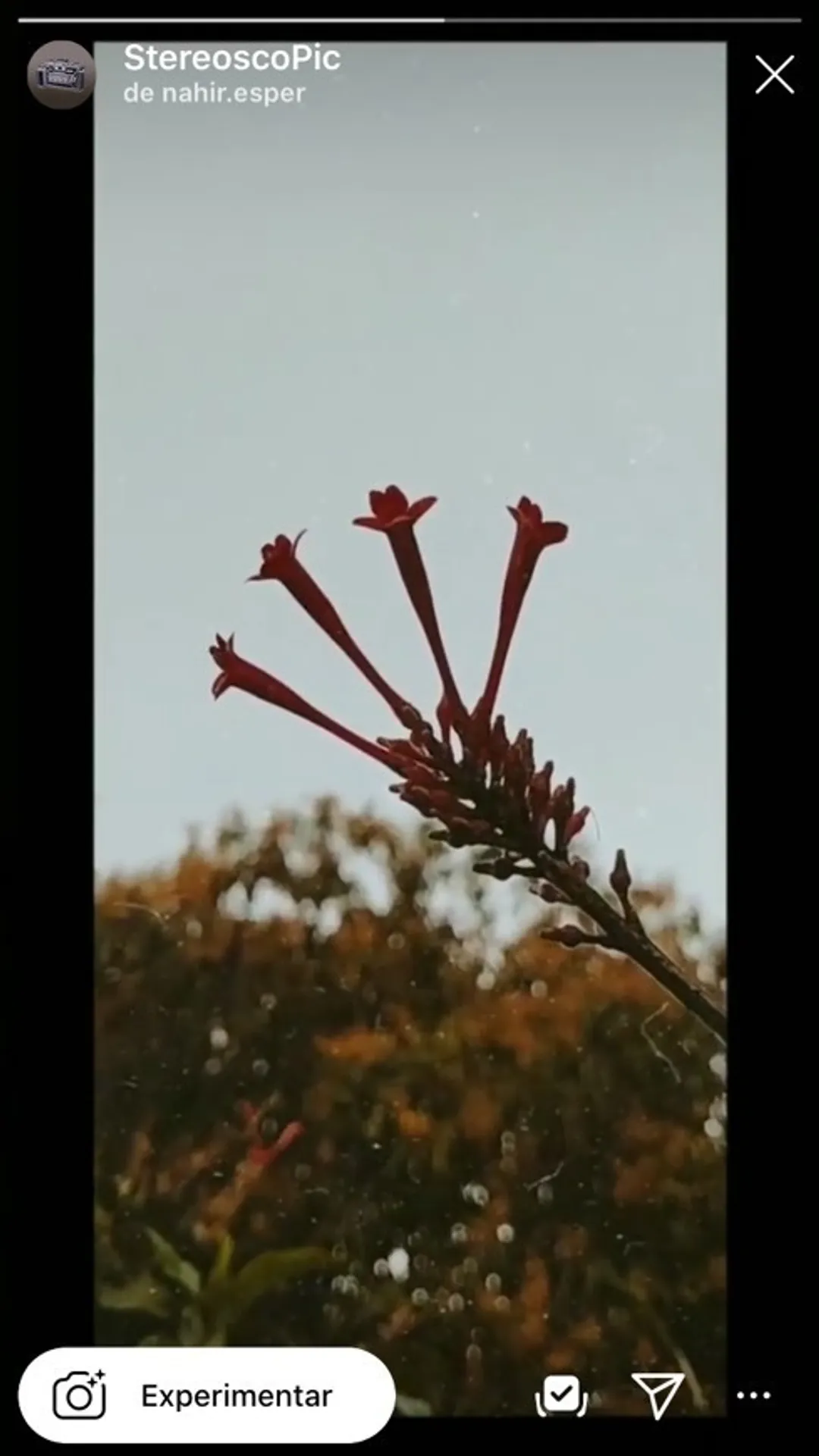 stereoscoPic