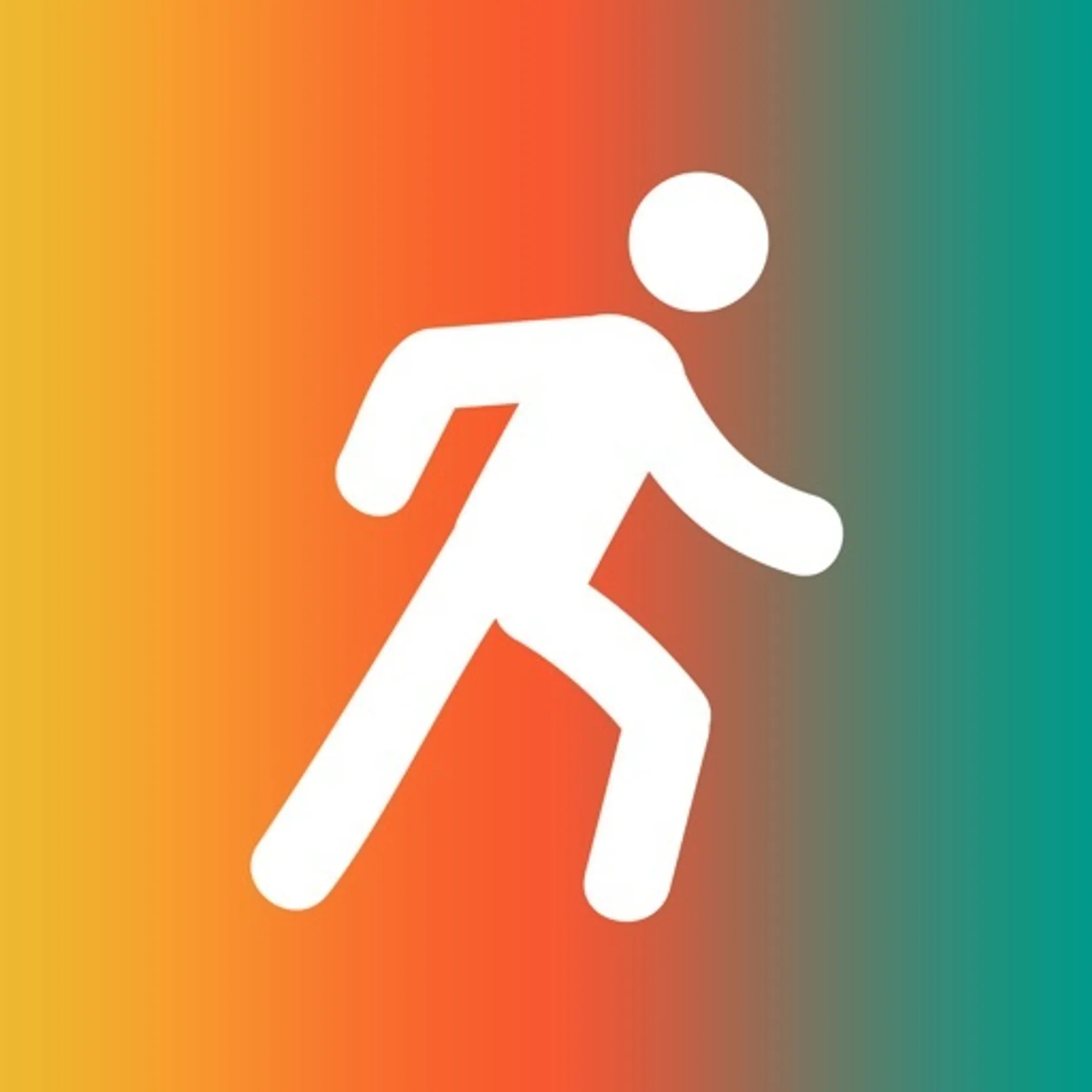 Pedometer