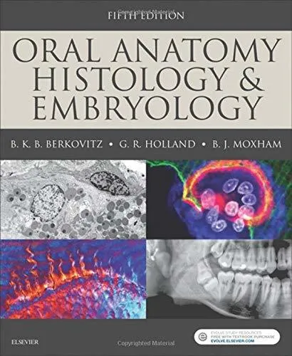 Oral Anatomy