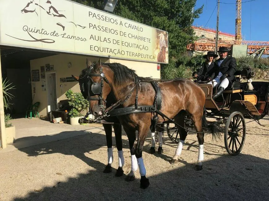 QUINTA DE LAMOSO-CALDELAS, AMARES, BRAGA