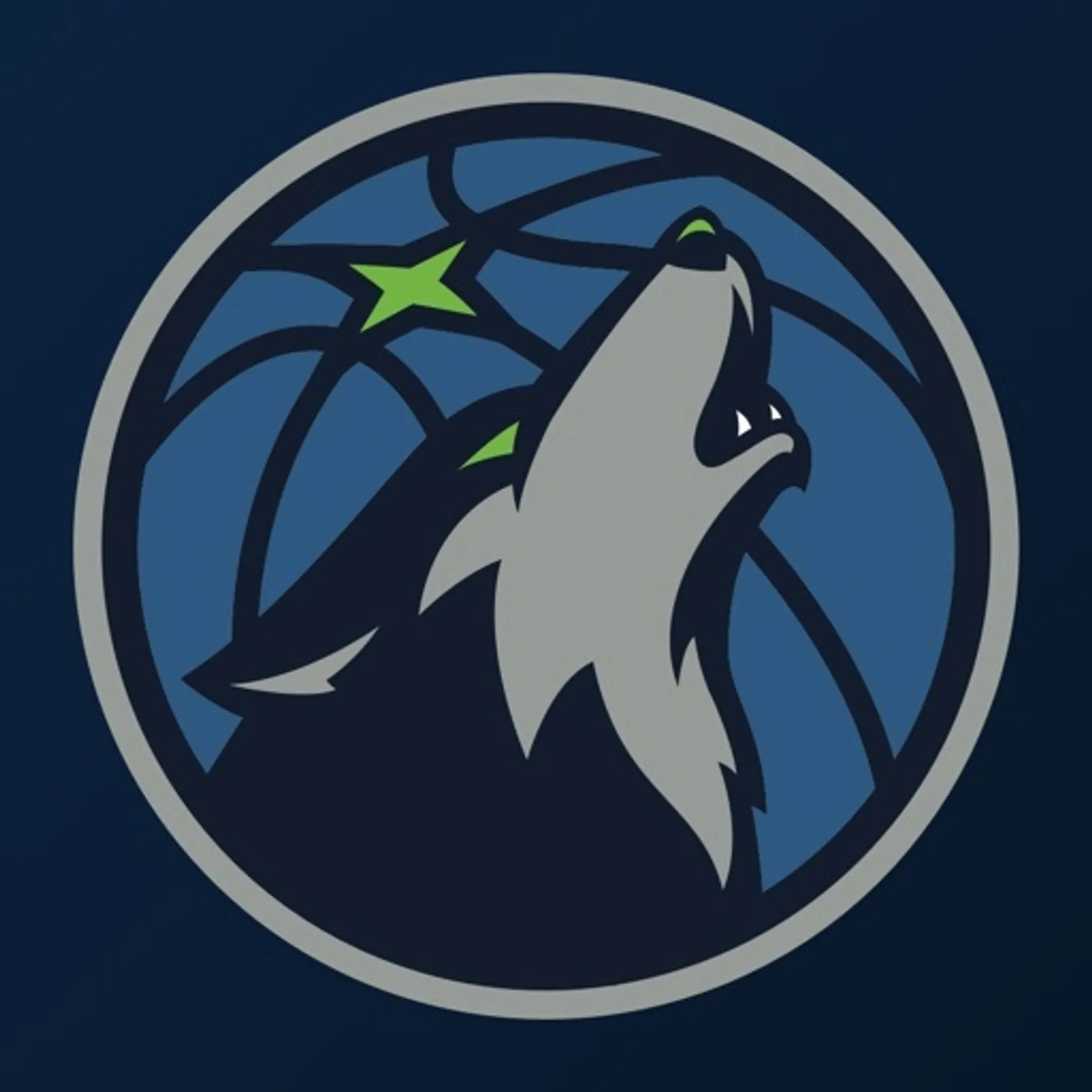 Minnesota Timberwolves