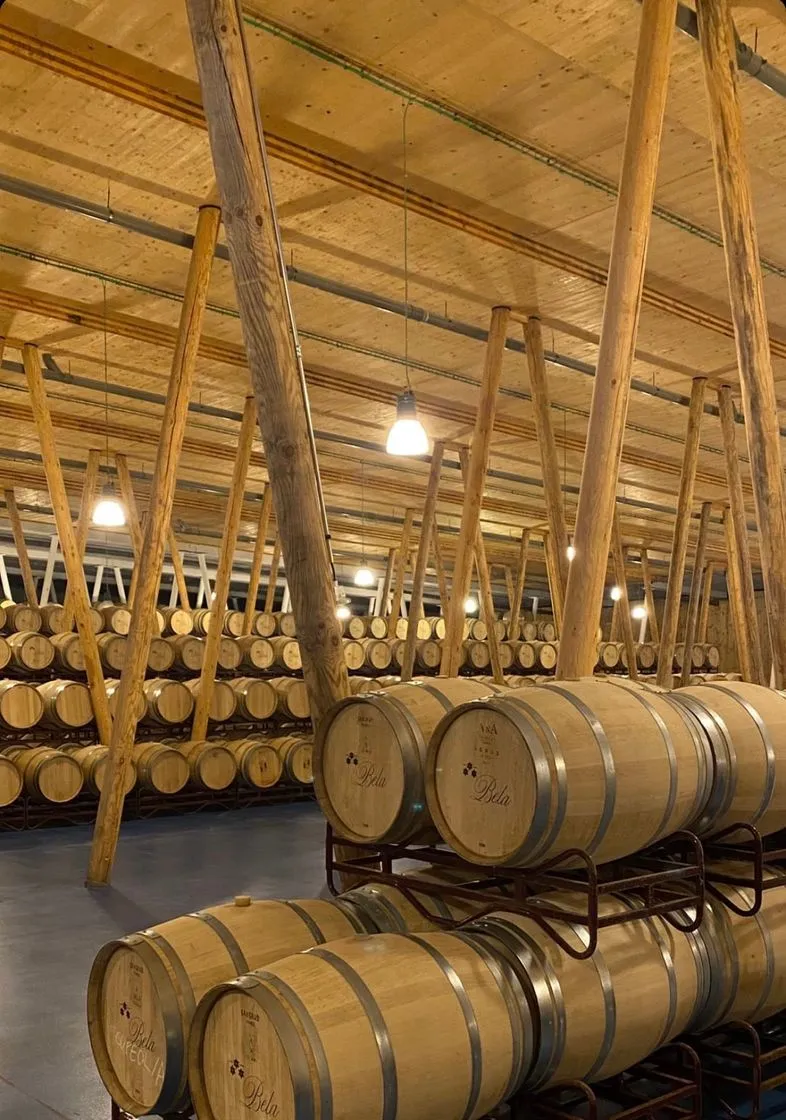 Bodega Bela
