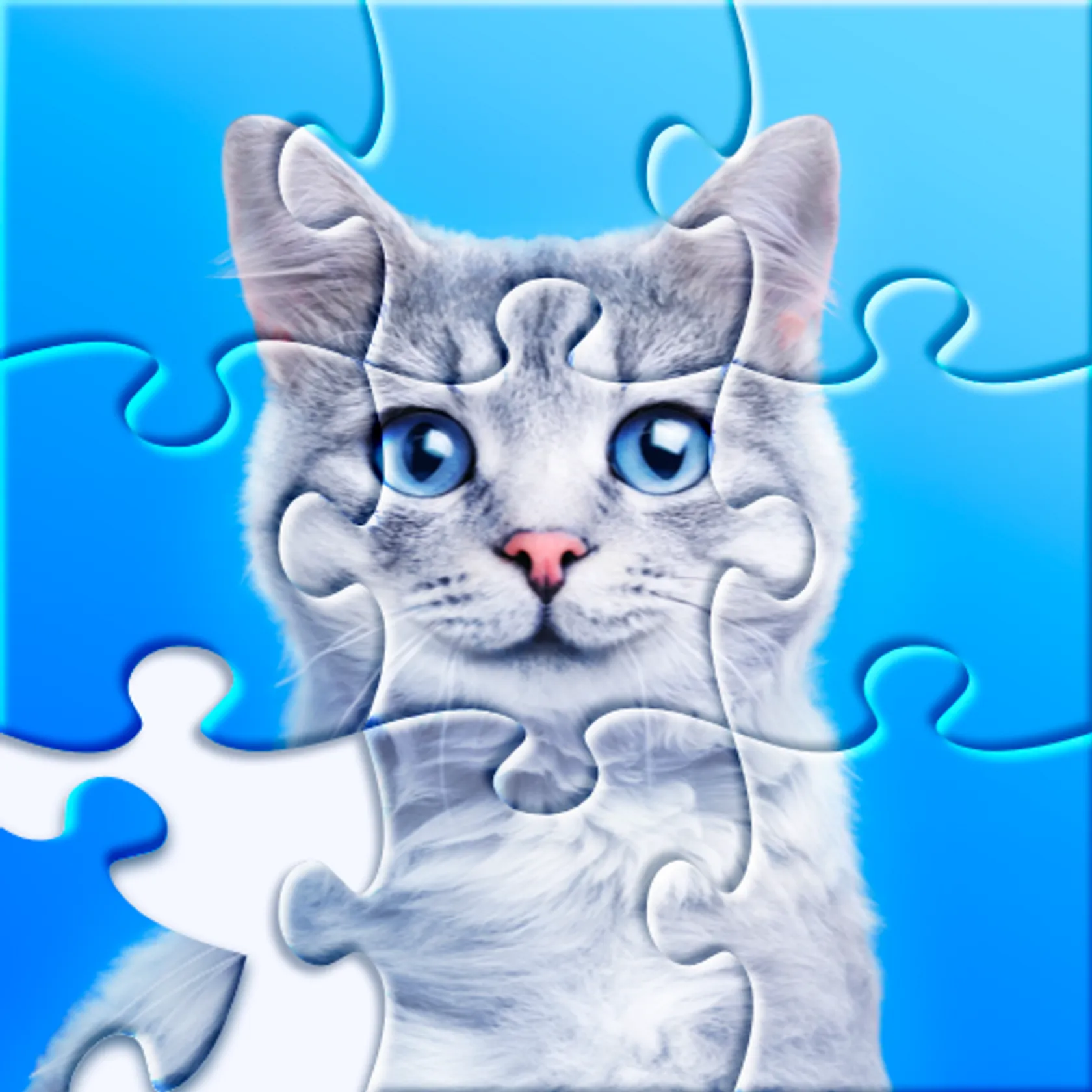 Jigsaw puzzle - rompecabezas